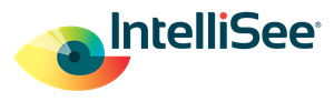 Intellisee